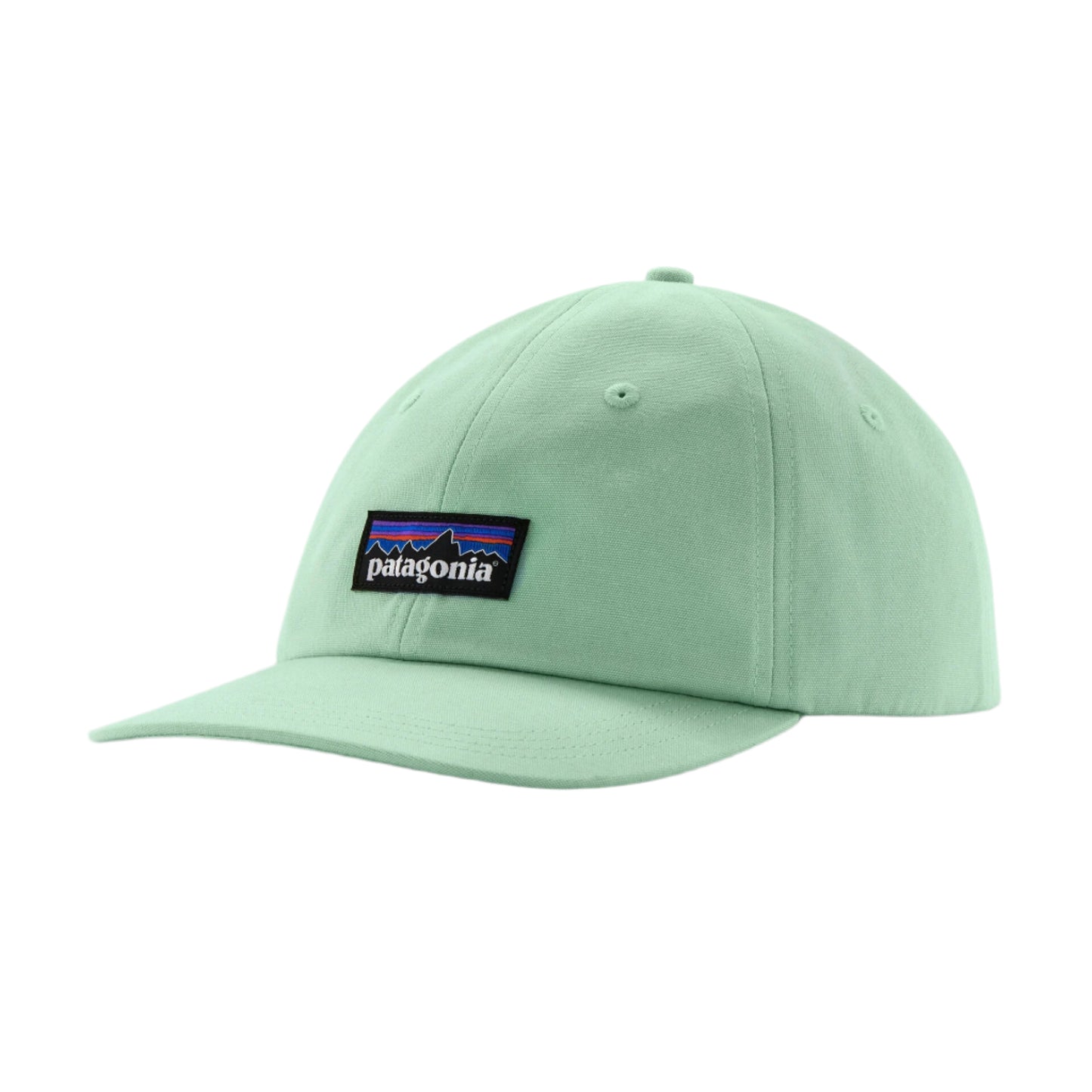 Patagonia P-6 Label Trad Cap Rinsed Green
