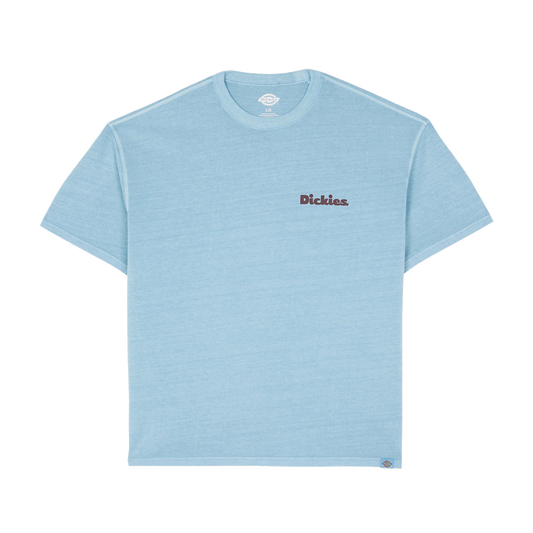 Dickies Slayden Tee  Glacier Lake