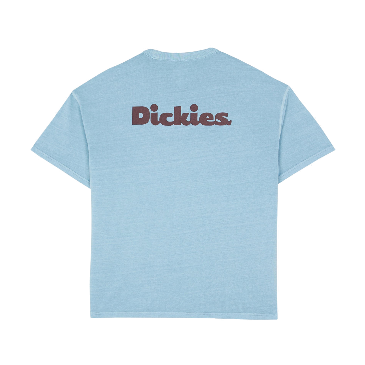 Dickies Slayden Tee  Glacier Lake