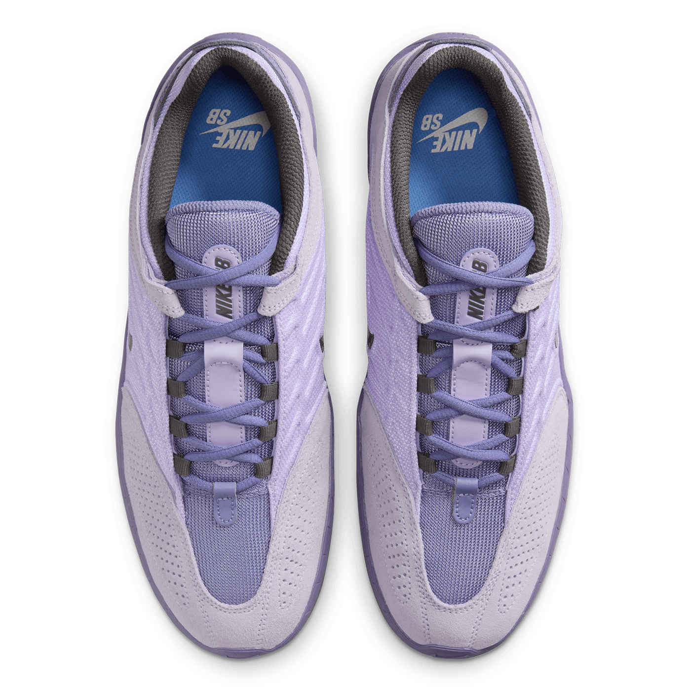Nike SB Vertabrae Shoe Hydrageas FD4691-501