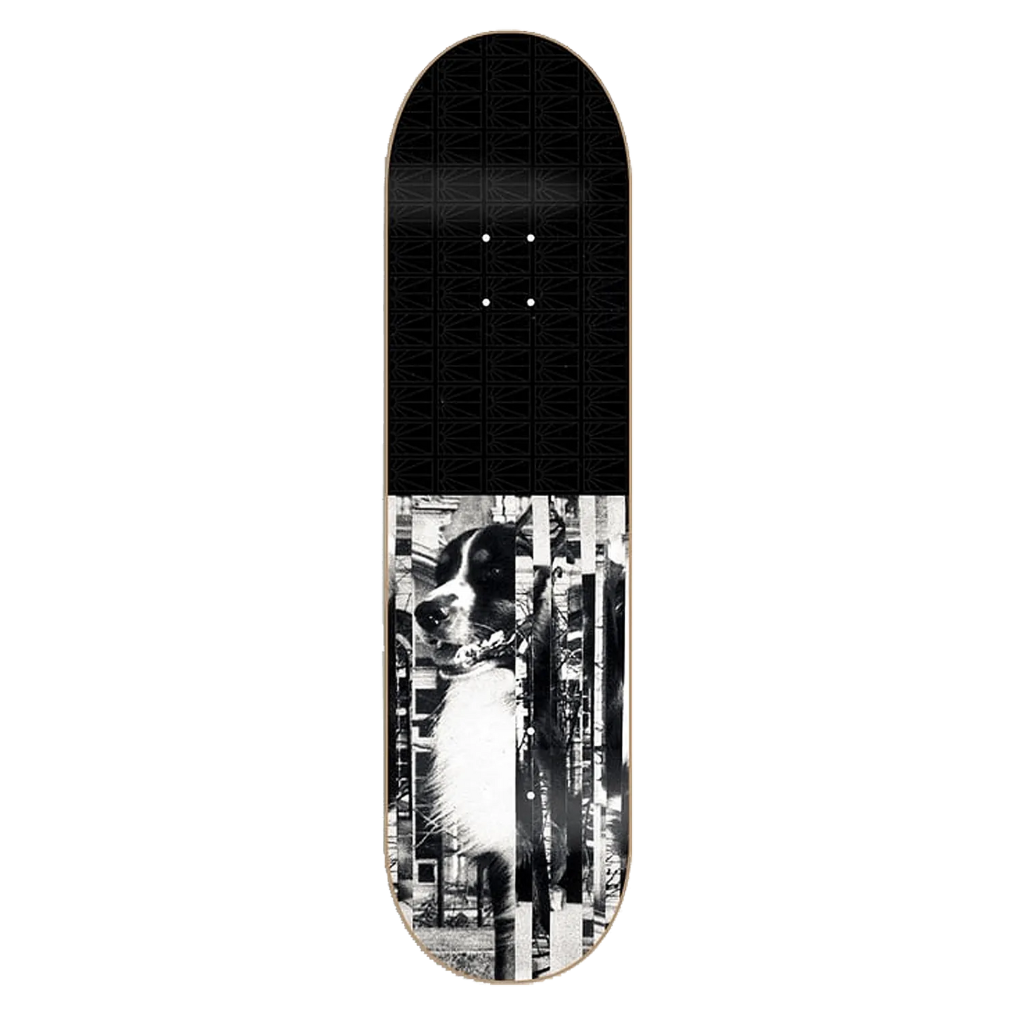 PACCBET #15 Val Bauer Pro Deck - ARROW & BEAST
