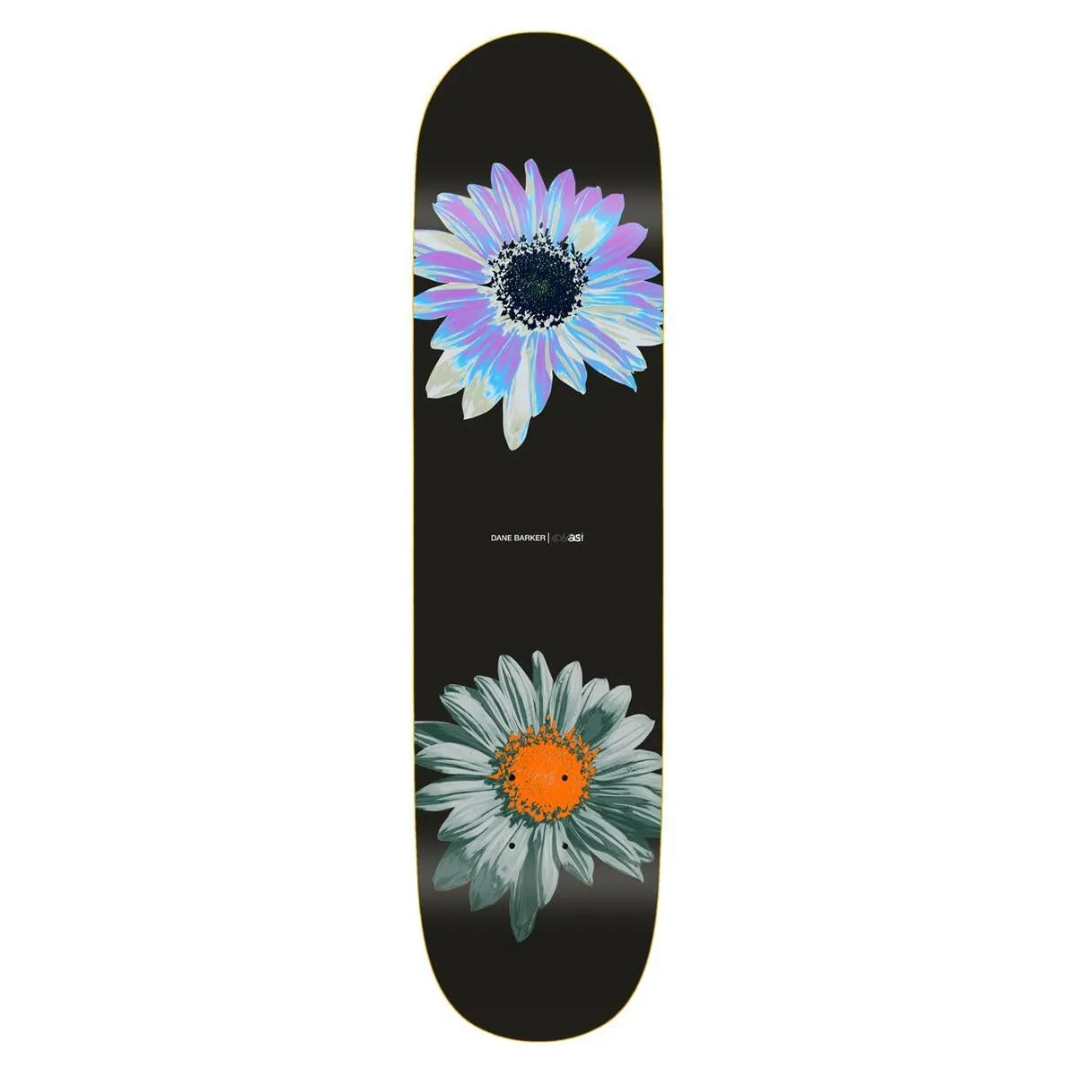 Quasi Skateboards Barker 'Heavy Petal' Deck - ARROW & BEAST