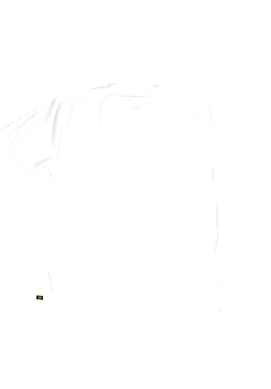 Arrow & Beast x Dickies "Blank Spectrum" Tee White - ARROW & BEAST